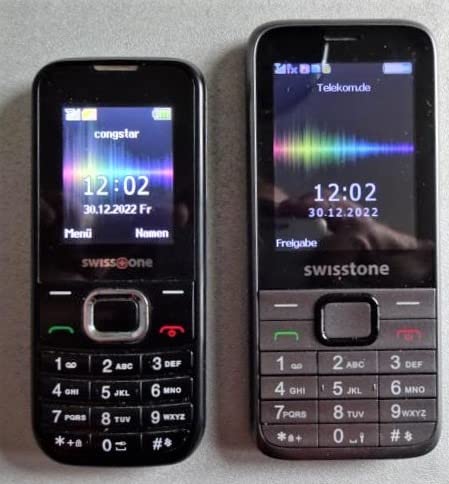 Swisstone SC 560 Tastenhandy Dual SIM schwarz Radio